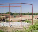 little_cub_field.jpg