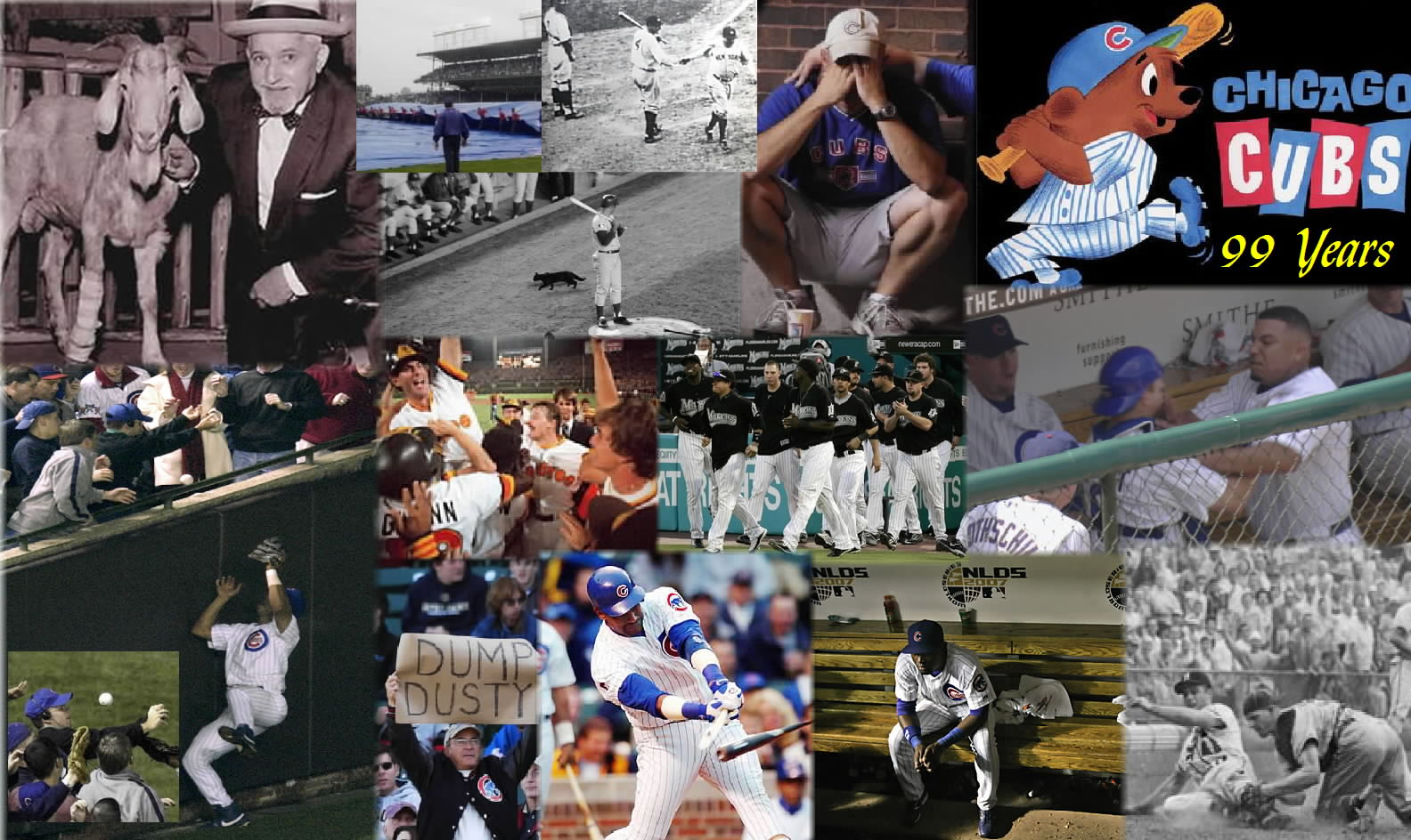 cubs-collage-2