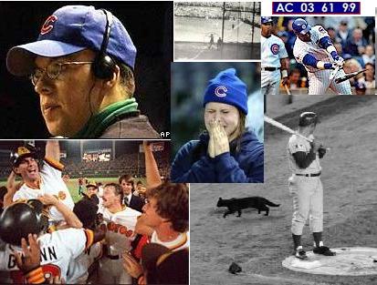 cubs-collage