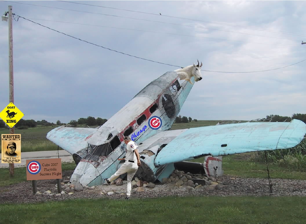 cubs-plane